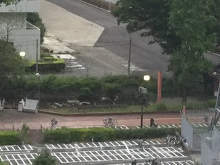 D8AA97DB-B18D-4BDE-839F-CAD4A3D64601