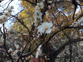 B23A2A4E-0ACF-4C08-B0DE-7F0E4749818C