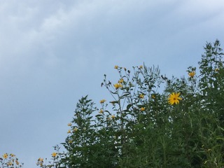 E73209D0-AD39-464E-9F68-9E2319BA0C62