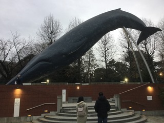 BE192C35-4CBB-42F7-B23C-36058F9AE496