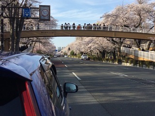 E2A880B1-566B-4384-BD9E-6BB92E3B460C