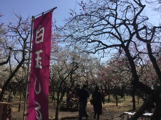 E66FC74D-A93B-4D4C-8BFC-399A82F73973