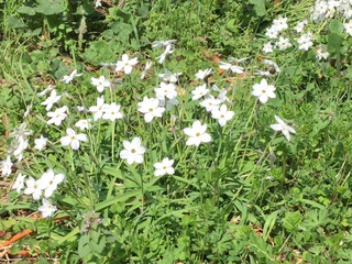 3F42C71E-0899-48E8-8431-7F7BF6AB2BE0