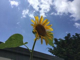 A7AD628B-E715-4AFF-BD77-7A9F310B8354