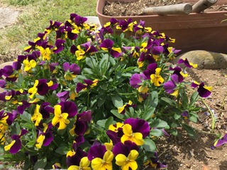 278A31E2-3EBC-4D27-84DB-32AD02C34849