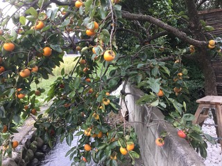 9019C265-88B7-4891-B7C4-661DC4608039