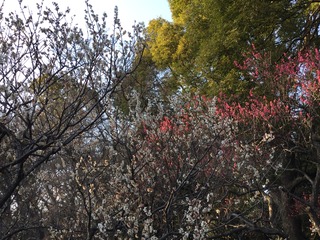 4E6EBC5B-5301-44EC-B022-E85D3483D355