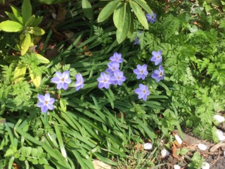 97BA2E47-8FDF-4792-86FE-5B020A9BE832