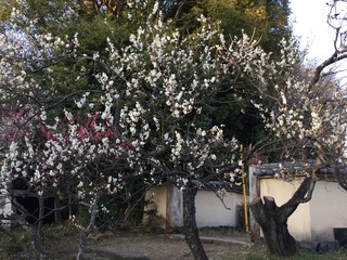 955AFA72-95D3-4EA1-ACAF-3367039887D8