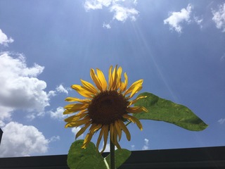 4FC7867B-A496-42CB-BD4F-344CAED39450