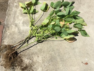 8D596C88-6D7B-4A83-8BE5-9C049618709B