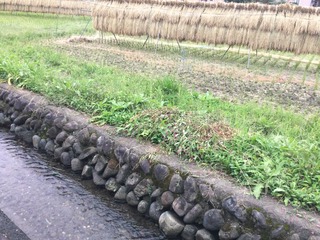 CB95903C-A261-494D-9F3D-07CC0DE3818A