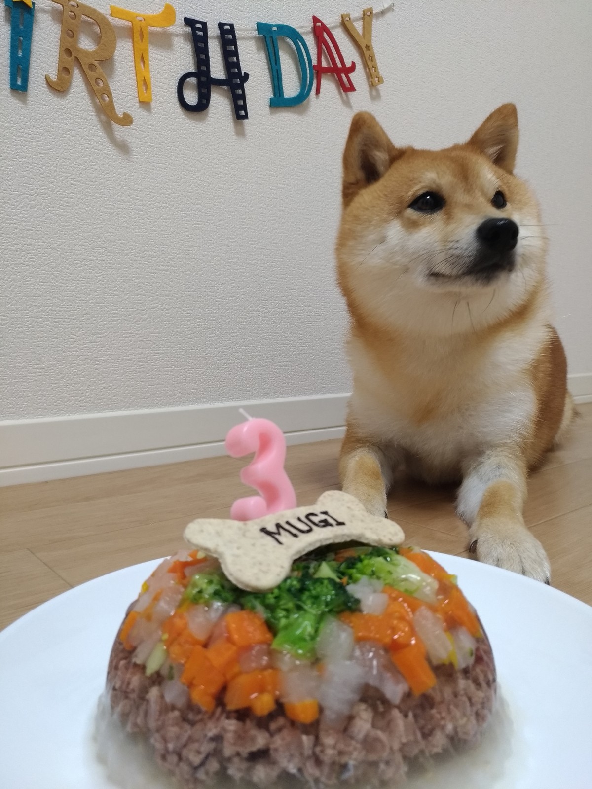豆柴麦 3歳の誕生日 豆柴麦うた日記 豆柴麦 3歳の誕生日 豆柴麦うた日記