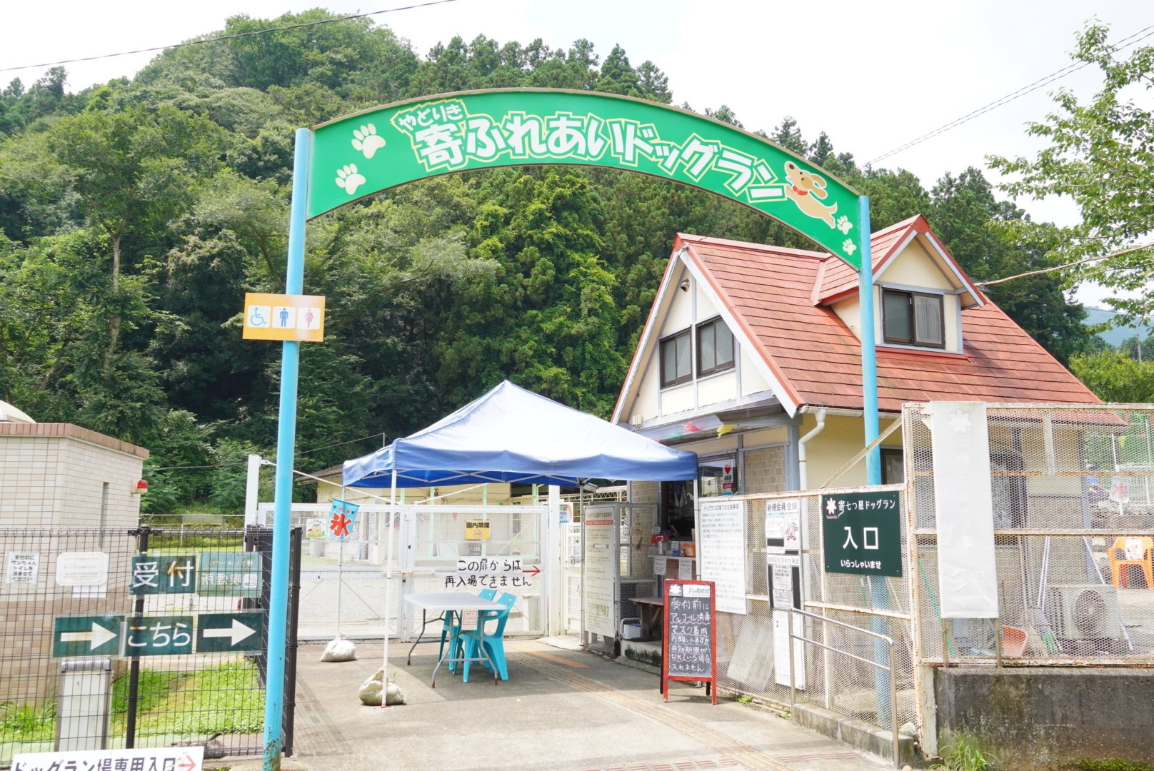 寄 やどりき 七つ星ドッグランで水遊び 豆柴麦うた日記 寄 やどりき 七つ星ドッグランで水遊び 豆柴麦うた日記