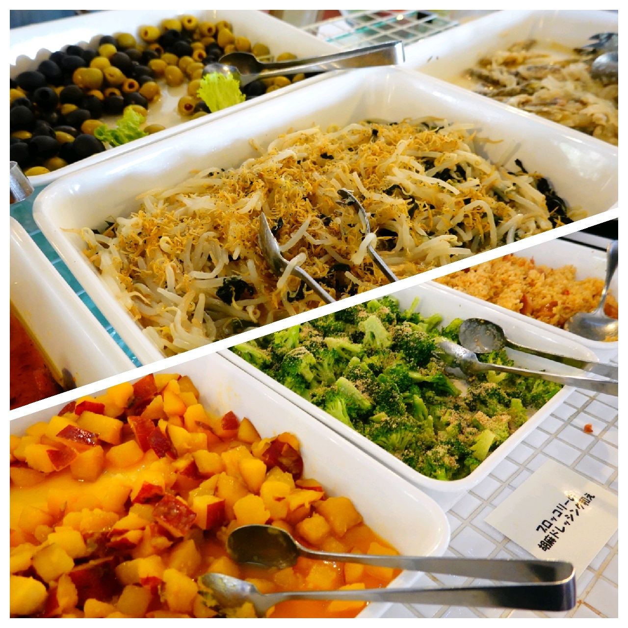 ペット可ランチ マカロニ市場でお腹パツンパツン 豆柴麦うた日記 ペット可ランチ マカロニ市場でお腹パツンパツン 豆柴麦うた日記