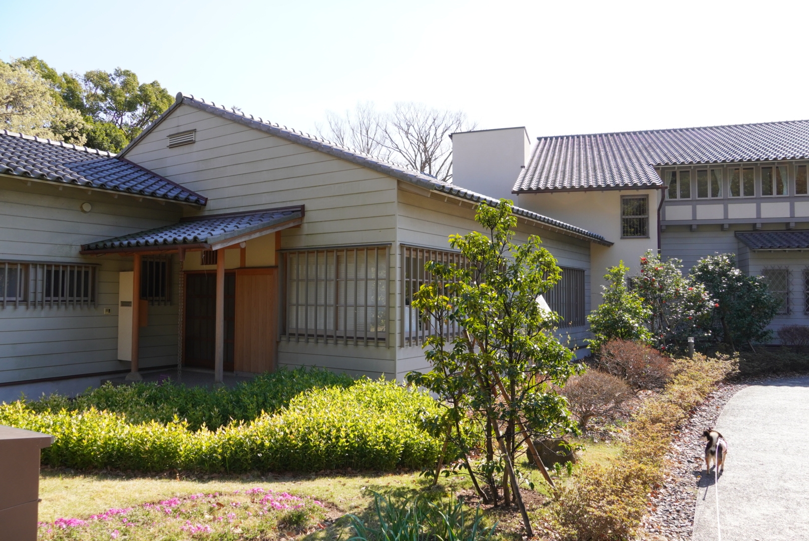 俣野別邸庭園でおさんぽ 豆柴麦うた日記 俣野別邸庭園でおさんぽ 豆柴麦うた日記