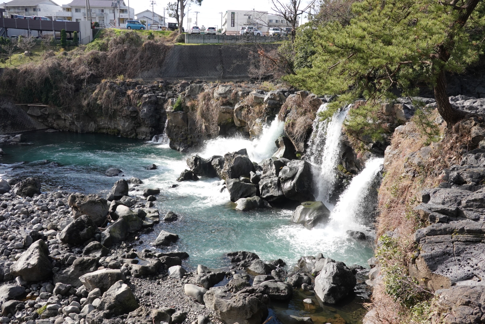 ぐるり伊豆の旅1日目 北伊豆 西伊豆観光 豆柴麦うた日記 ぐるり伊豆の旅1日目 北伊豆 西伊豆観光 豆柴麦うた日記
