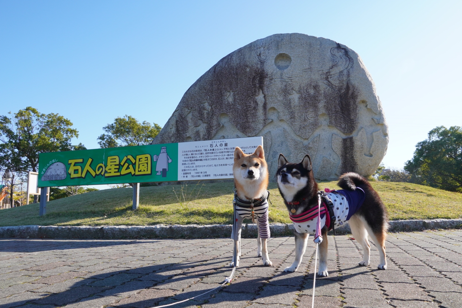ぶらり浜松 車中泊2日目 1 遠州灘海浜公園 石人の星公園 風車公園 豆柴麦うた日記