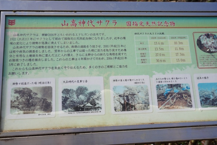 A6409305