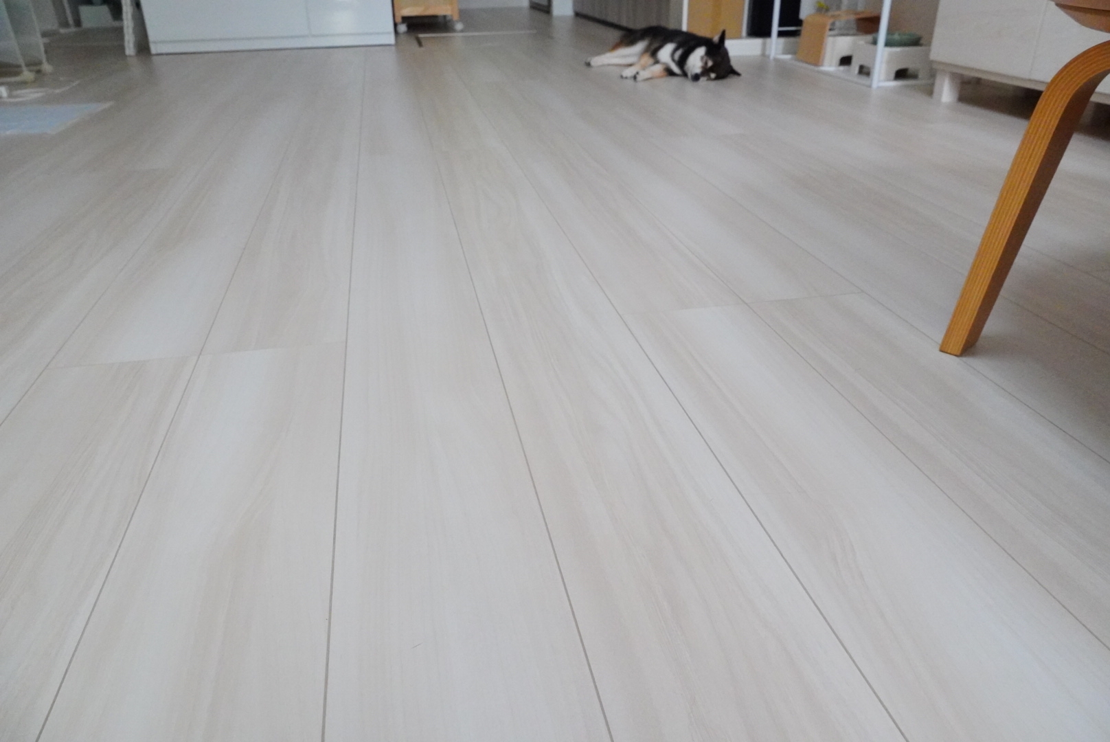 サンコー おくだけ吸着タイルマット 豆柴麦うた日記