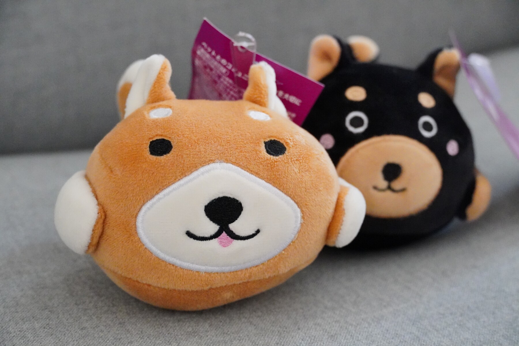 コーナンのおもちゃとか服とかバニーとか 豆柴麦うた日記