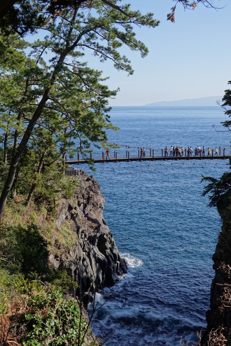 ぶらり伊豆 城ヶ崎海岸とごはん処稲の花でランチ編 豆柴麦うた日記