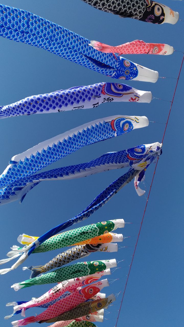 高田橋河川敷でbbq 豆柴麦うた日記