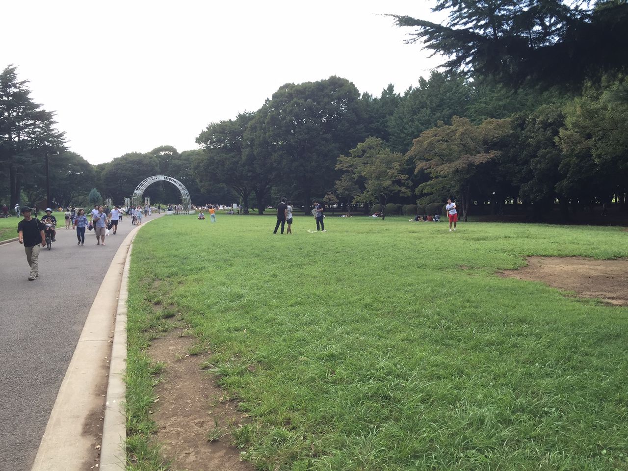 道で捕まえるポケモンは弱い 代々木公園にカビゴンを捕まえに行きました かつお日記