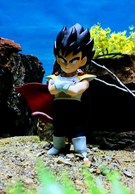 ドラゴンボール［一番くじ ドラゴンボールZ サイヤ人襲来編 C賞