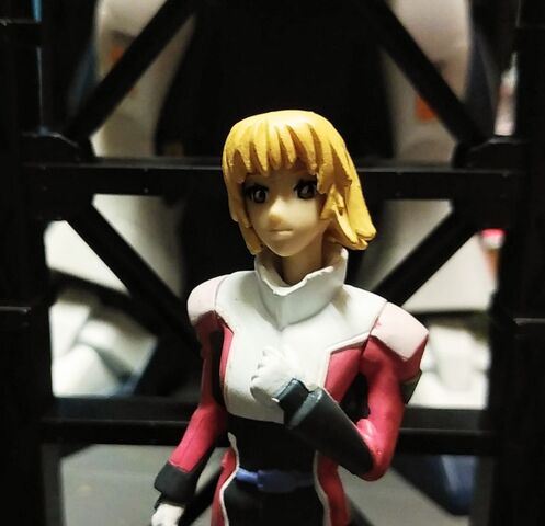 HGif［ 機動戦士ガンダム SEED DESTINY ガンダムキャラクターズ