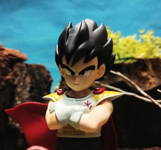 ドラゴンボール［一番くじ ドラゴンボールZ サイヤ人襲来編 C賞