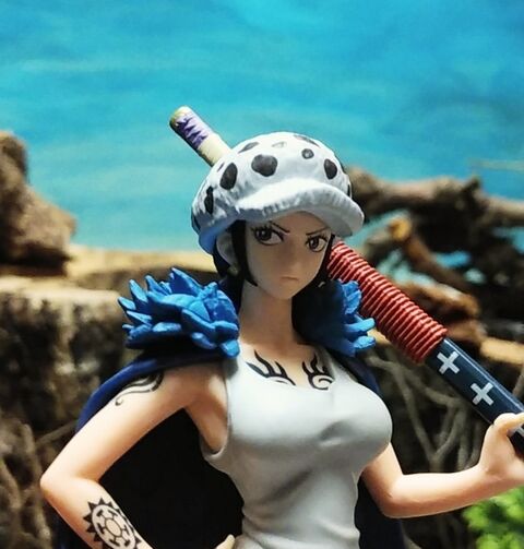 ワンピース トラファルガー・ロー チェンジver フィギュア ワンピース DXF ザ・グランドラインシリーズ トラファルガー