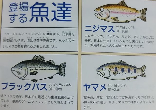 ぬし釣り Katsuのblog ぬし釣り Katsuのblog