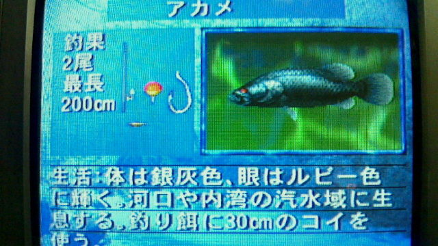 川 の ぬ し 釣り 秘境 を 求め て 攻略 川のぬし釣り 秘境を求めて裏技一覧 Ofertadalu Com Br