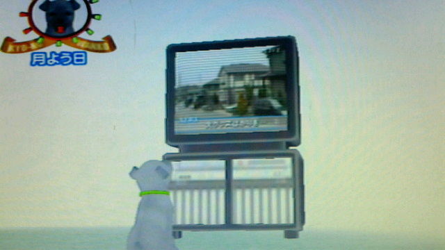 ps2 めざましテレビ 10th anniversary きょうのわんこ Katsuのblog ps2 めざましテレビ 10th anniversary きょうのわんこ Katsuのblog
