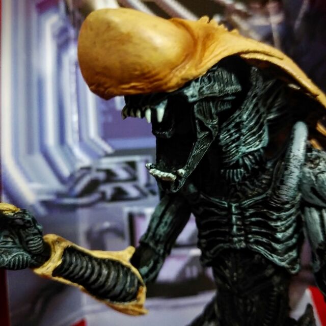Neca エイリアンvsプレデターアーケード クリサリスエイリアン Katsuのblog Neca エイリアンvsプレデターアーケード クリサリスエイリアン Katsuのblog
