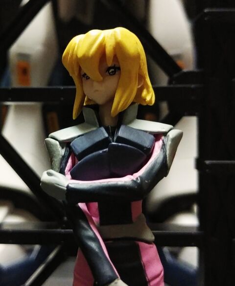 HGif［ 機動戦士ガンダム SEED DESTINY ガンダムキャラクターズ