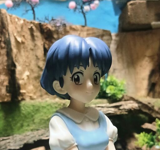 らんま1/2 Relax time / リラックスタイム 天道あかね : KATSUのblog