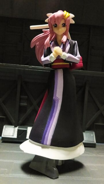 HGIF 機動戦士ガンダム SEED DESTINY ガンダムキャラクターズ 5