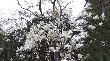 4.18 仙台 (4)