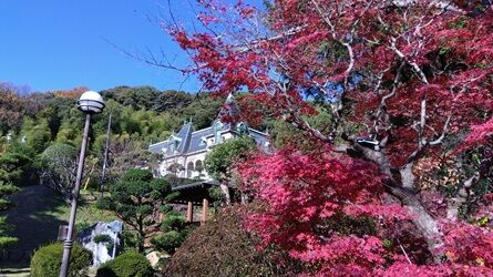 2025.12.9 ���� (1)