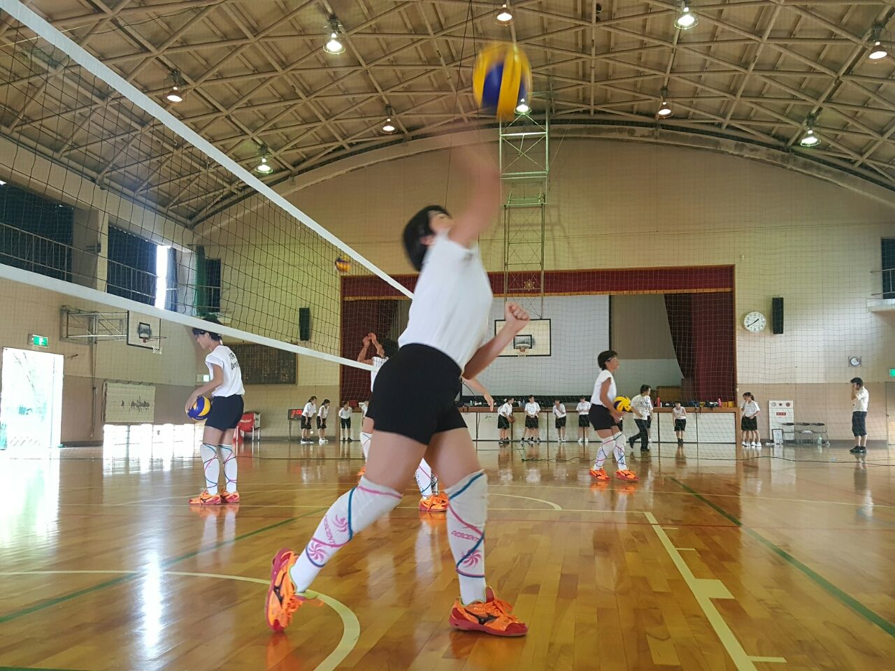 blog livedoor jp