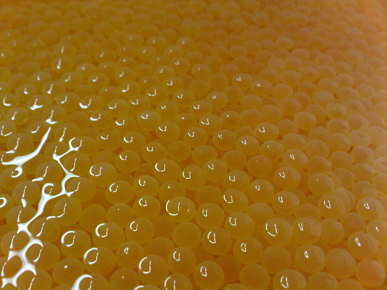 幻の魚イトウに咬まれて 新郷村 かつらな峡のブログ かつらな伝説