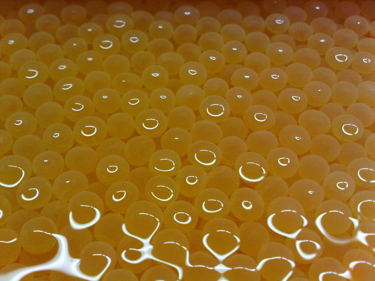 幻の魚イトウに咬まれて 新郷村 かつらな峡のブログ かつらな伝説