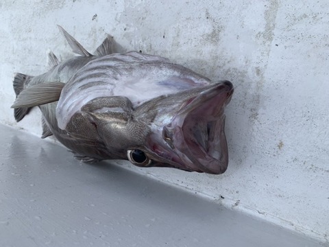 A5E4D7C6-FE42-4B14-A78E-77A4C001F929