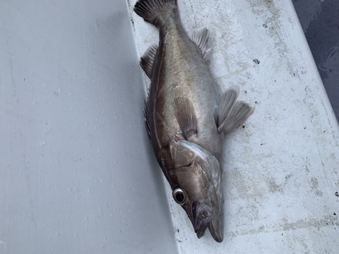 A1F924F0-CEFA-4BE1-821D-5A369CCCA823