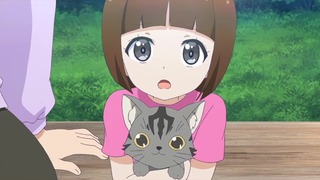 ¥½¥é¤È¥¦¥ß¤Î¥¢¥¤¥À¡¡Âè8ÏáؽդÈÇÈǵ¤Î¥¢¥¤¥À¡Ù