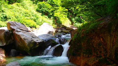 P9020008_original