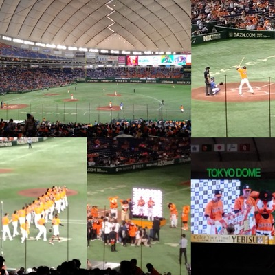5月24日の試合より