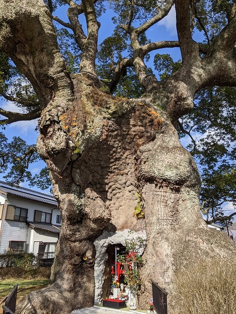 武雄神社20210221No47